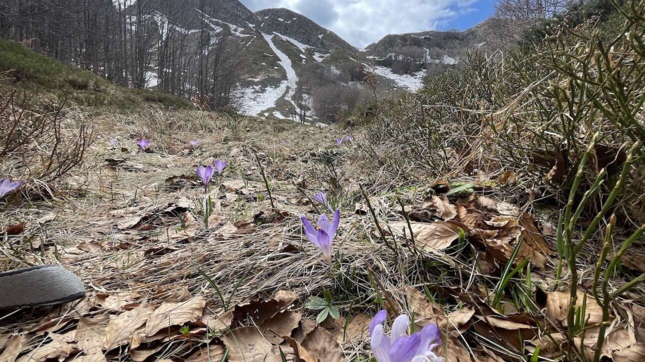 Cime di Romecchio